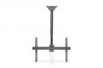 Digitus Uchwyt sufitowy TV 37-70 cali 50kg, z regulacją teleskopową 560-910mm Czarny