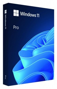 Microsoft Windows Pro 11 64bit ENG USB Flash Drive Box HAV-00163
