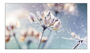 Samsung Monitor profesjonalny VM46B-U 46 cali Video wall Matowy 24h/7 500(cd/m2) 1920 x 1080(FHD) N/A  3 lata On-Site (LH46VMBUBGBXEN)