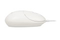 iBOX Mysz  i011 Seagull