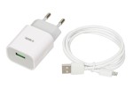 iBOX Ładowarka sieciowa C41W