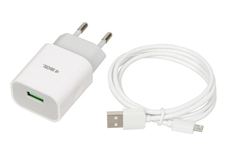 iBOX Ładowarka sieciowa C41W
