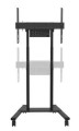 Neomounts Wózek do monitora FL55-875BL1