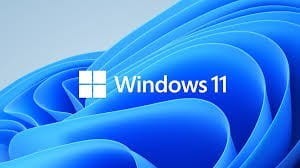 Microsoft OEM Win Pro for Wrkstns 11 PL  x64     HZV-00117