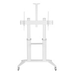 Techly Stojak mobilny do tv 70-120cali 140kg lub tablicy interaktywnej