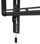 Neomounts Uchwyt ścienny WL35-550BL16  40-75 cali