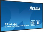 IIYAMA Monitor 43 cale LH4365UHSB-B1 24/7, IPS, ANDROID 11, 4K, 800cd, iiSignage2, SDM, 2x HDMI, DP, 2x USB,2x 10W, RJ45, WiFi, 4/32GB, PION/POZIOM, 4