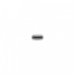 Apple Przejściówka z USB-C na USB