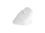 Natec Mysz bezprzewodowa wertykalna Crake 2 BT 5.2 + 2.4GHz biała