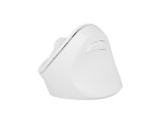 Natec Mysz bezprzewodowa wertykalna Crake 2 BT 5.2 + 2.4GHz biała