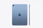 Apple iPad WiFi + Cellular 11 cali 256 GB Niebieski