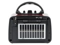 BLOW Radio przenośne analogowe RA10 AM/FM solarne