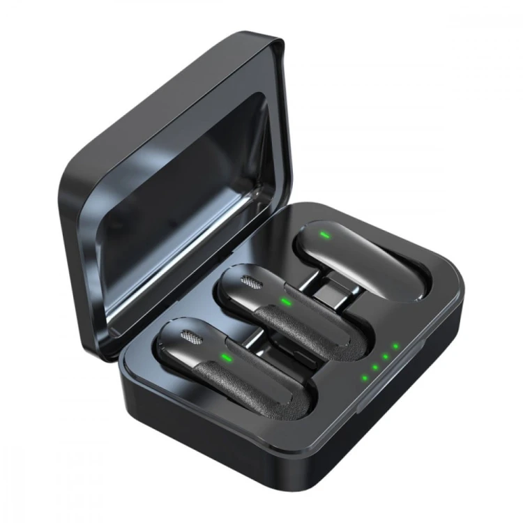 Technaxx Deutschland GmbH & Co. KG Bezprzewodowy mikrofon 2 sztuki TX-301
