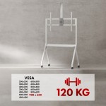 Maclean Stojak do TV na kółkach MC-114W