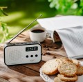 Adler Radio cyfrowe PLL AD1907