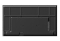 Sharp Monitor wielkoformatowy MultiSync E559 55 cali UHD 16/7 350cd/m2
