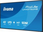IIYAMA Monitor 43 cale LH4375UHS-B2AG,24/7,IPS,ANDROID.11,4K, WiFi,          iiSignage2, FailOver, EShare, 24/7, full daisy chain