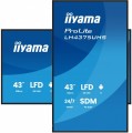 IIYAMA Monitor 43 cale LH4375UHS-B2AG,24/7,IPS,ANDROID.11,4K, WiFi,          iiSignage2, FailOver, EShare, 24/7, full daisy chain