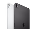 Apple iPad Pro 13-calowy Wi-Fi 2 TB ze szkłem standardowym - Srebrny