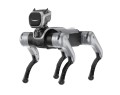 ROBOTY AI  W OLSZTYNIE  - INNOWACYJNE ROZWIĄZANIA