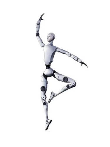23533.jpg