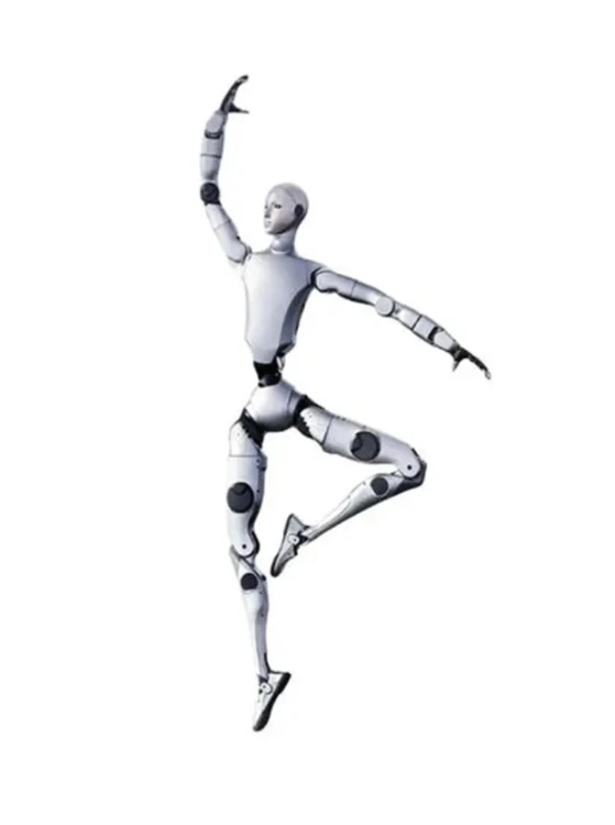 23533.jpg
