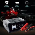 Qoltec Mikroprocesorowa ładowarka 12V 24V 25A | Prostownik z funkcją naprawy do akumulatora AGM GEL SLA | LCD