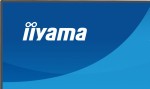 IIYAMA Monitor 27 cali XB2793HSU-B1 IPS, HDMI, DP, 2x2W, 2xUSB, 350cd, 1500:1, HAS 150/PIVOT