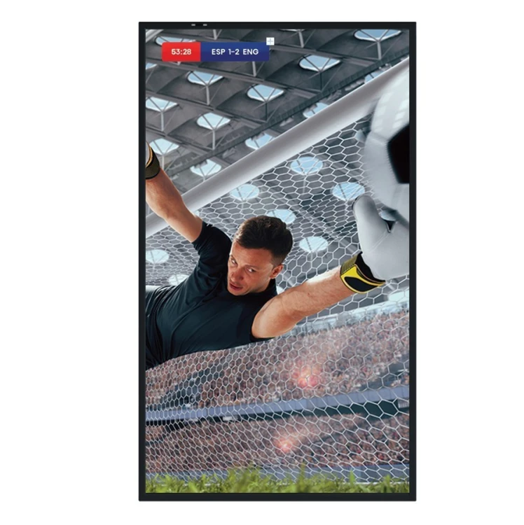 Hisense Monitor 55DM66D 55 cali 4K UHD IPS Digital Signage Display 24/7