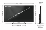 Sharp Telewizor 55 cali 55HR7465E