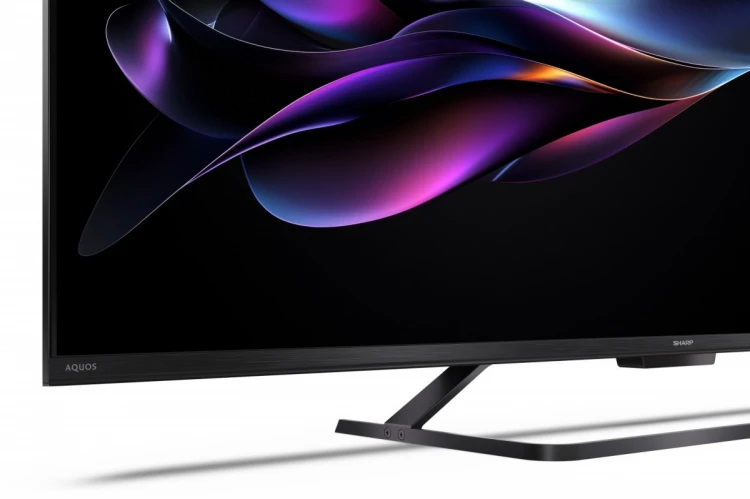 Sharp Telewizor 55 cali 55HR7465E