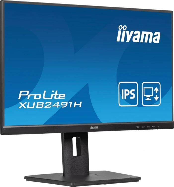IIYAMA Monitor 23.8 cala X2491H-B1 IPS,HDMI,DP,1ms,350cd/m2, 1500:1,120Hz