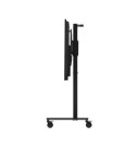 Avtek Statyw elektryczny TS ELECTRIC STAND LIGHT