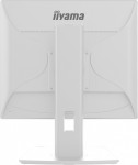 IIYAMA Monitor 19 cali B1980S-W1 HDMI, DP, PIVOT, HAS/150mm