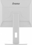 IIYAMA Monitor 19 cali B1980S-W1 HDMI, DP, PIVOT, HAS/150mm