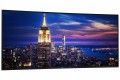 Dell Monitor U5226KW 52 cale IPS Black Curved WOST 6K 120Hz (6144×2560) / 21:9 / 2xDP / 2xHDMI /Thunderbolt 4 /4x USB-C/5xUSB/3Y