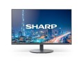 Sharp Monitor MultiSync DD-E224F 22 Czarny