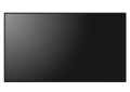 Sharp Monitor wielkoformatowy MultiSync P556 55 cali UHD 700cd/m2 24/7