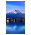 Sharp Monitor wielkoformatowy MultiSync P556 55 cali UHD 700cd/m2 24/7