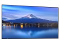 Sharp Monitor wielkoformatowy MultiSync P556 55 cali UHD 700cd/m2 24/7