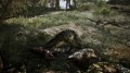 Plaion Gra PlayStation 5 Gothic Remake