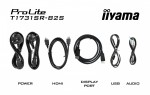 IIYAMA Monitor  17 cali ProLite T1731SR-B2S TN,RESISTIVE,HDMI,DP,VGA,250cd,1000:1,  5ms