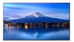 Sharp Monitor MultiSync P436 43 cale UHD 24/7 700cd/m2