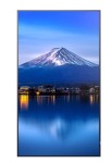Sharp Monitor MultiSync P436 43 cale UHD 24/7 700cd/m2