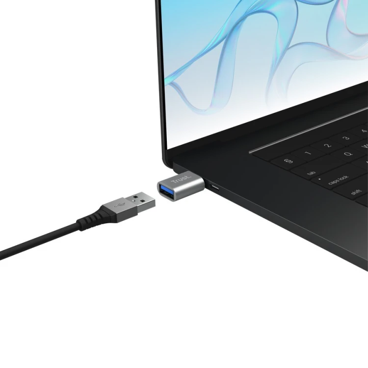 Trust Adapter USB-C do USB-A 3.2 Calyx, dwu-pak szary